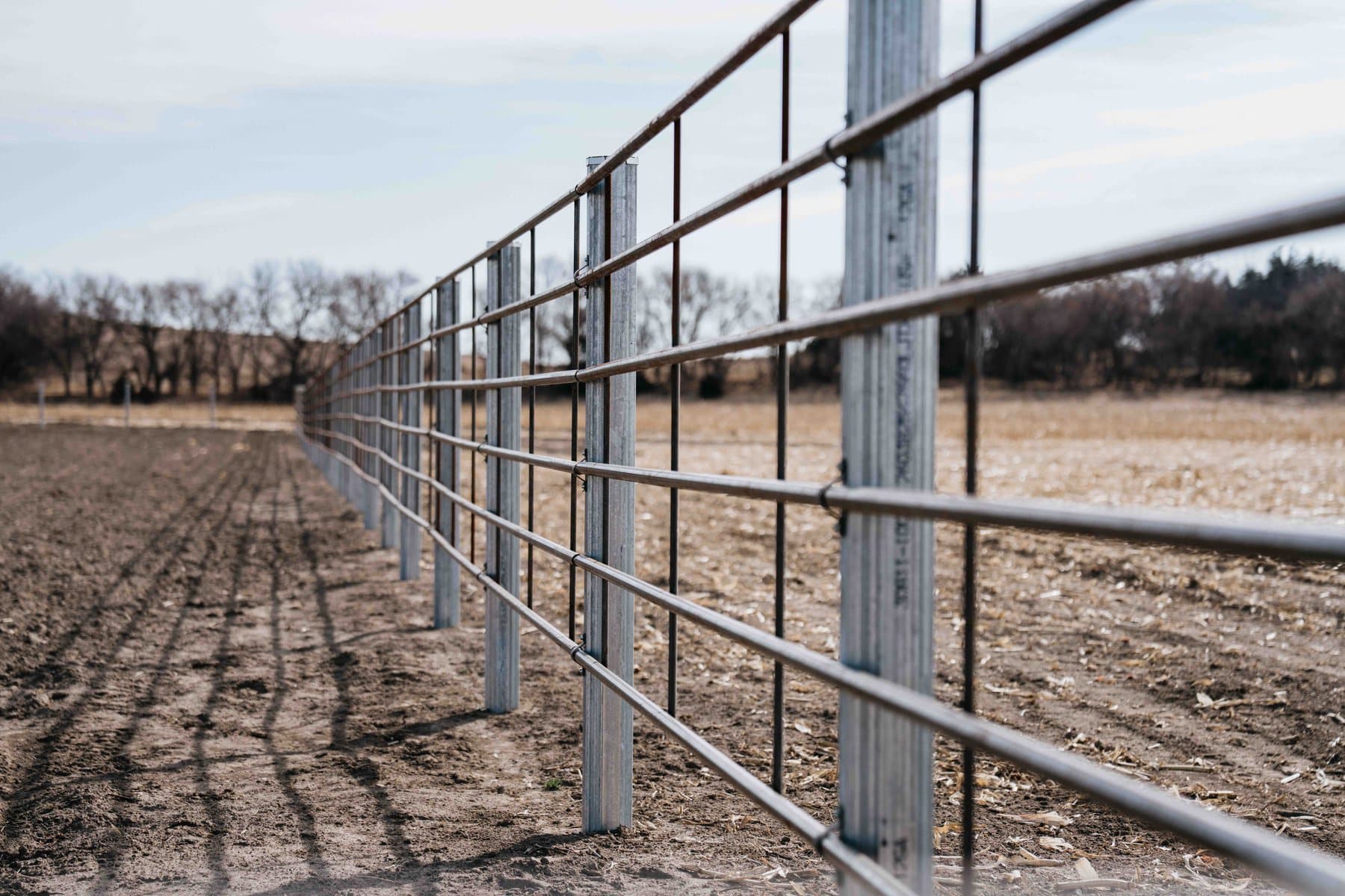 Galvanized steel continuous fence running along a Nebraska pasture.