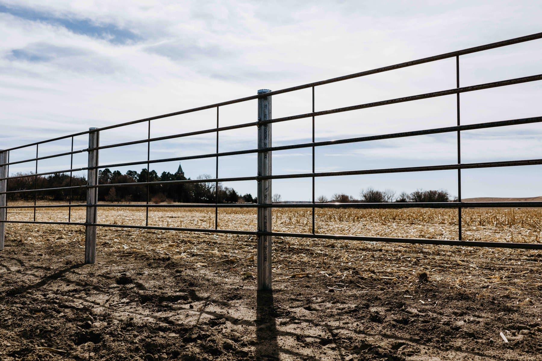 Steel farm fence line squared off along a field boundary.